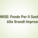 Consiglio Di Stato: L’attività Sanzionatoria Dell’ANAC Dopo L’esclusione Da Una Gara Pubblica