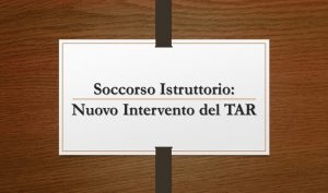 Soccorso Istruttorio: Nuovo Intervento del TAR
