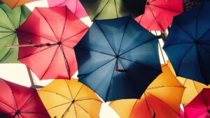 La Corte Costituzionale sulla legittimità della escussione della garanzia provvisoria