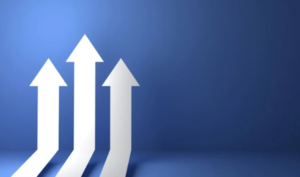 Nuovo Sistema Di Qualifica Delle Stazioni Appaltanti: I Livelli Di Qualificazione