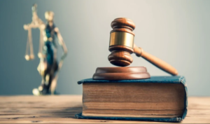 Nuovo Codice Dei Contratti: L’audizione Di Anci