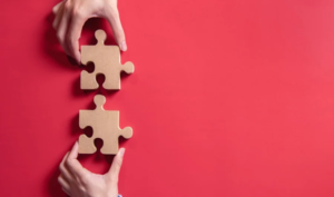 ANAC Sulla Formulazione Dell’Offerta