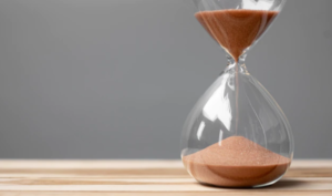 Mancata Sottoscrizione Documentazione Di Gara: La Sentenza Del TAR