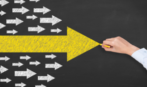 Scelta Del Criterio Di Aggiudicazione: La Sentenza Del TAR